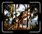 Makies sur la plage